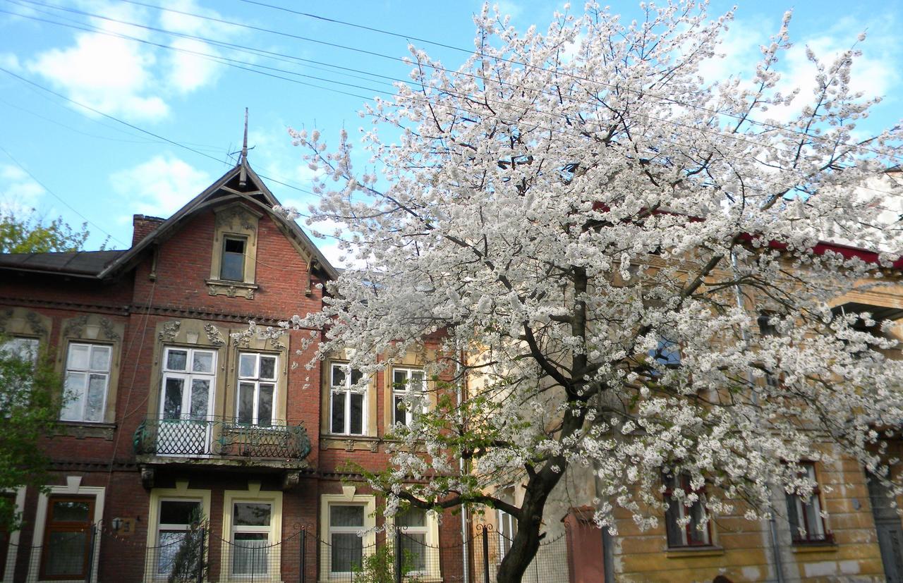Studios At Anchevskih 3 Львів Екстер'єр фото