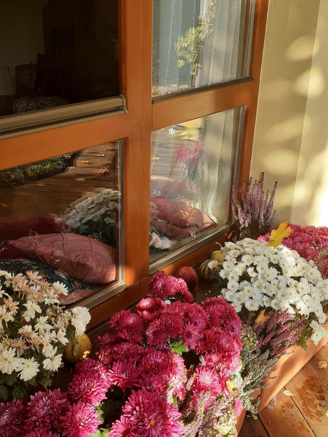 Studios At Anchevskih 3 Львів Екстер'єр фото